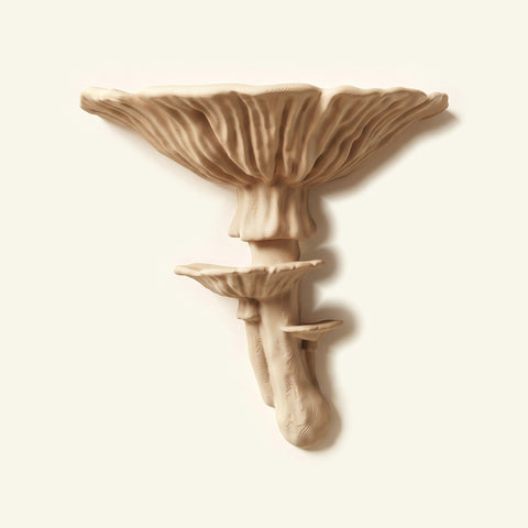 Amanitapilz-Regal in Beige, freigestellt vor cremefarbener Wand