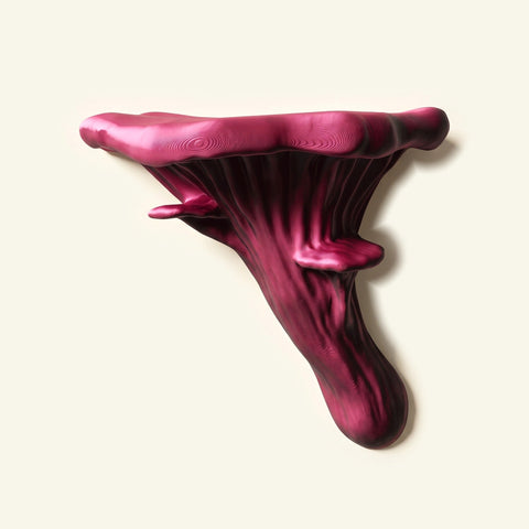 Austernpilz-Regal in Pink/Schwarz, freigestellt vor cremefarbener Wand