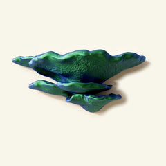 Buckel-Tramete-Regal in Blau/Grün, freigestellt vor cremefarbener Wand