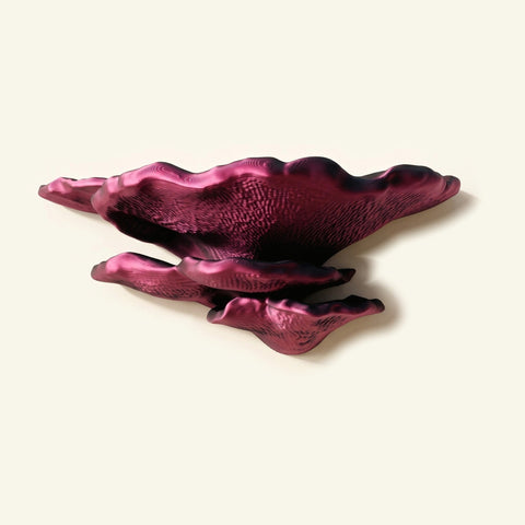 Buckel-Tramete-Regal in Pink/Schwarz, freigestellt vor cremefarbener Wand
