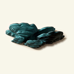 Schichtpilz-Regal in Blau/Schwarz, freigestellt vor cremefarbener Wand