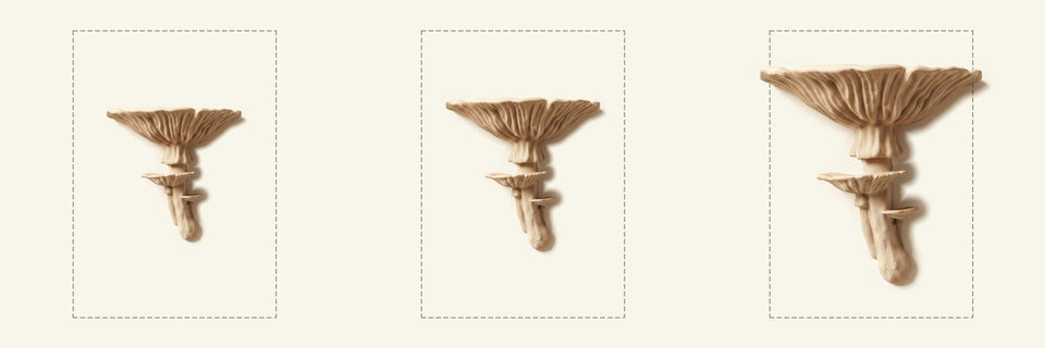 Amanitapilz-Regal in Beige, Größen M, L und XL nebeneinander vor je einem DIN-A4-Blatt