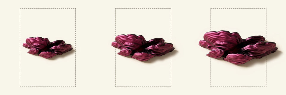 Schichtpilz-Regal in Pink/Schwarz, Größen M, L und XL nebeneinander vor je einem DIN-A4-Blatt