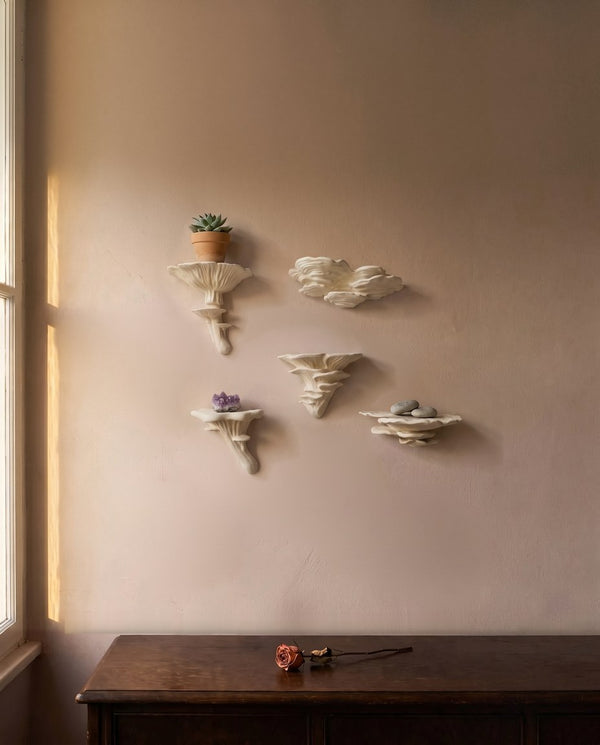 Pilzwandregal-Set in Weiß, Größe M, mit Echeveria im Terrakottatopf, kleiner Amethystspitze und zwei Kieseln — die Gruppe ist rund 48 cm breit